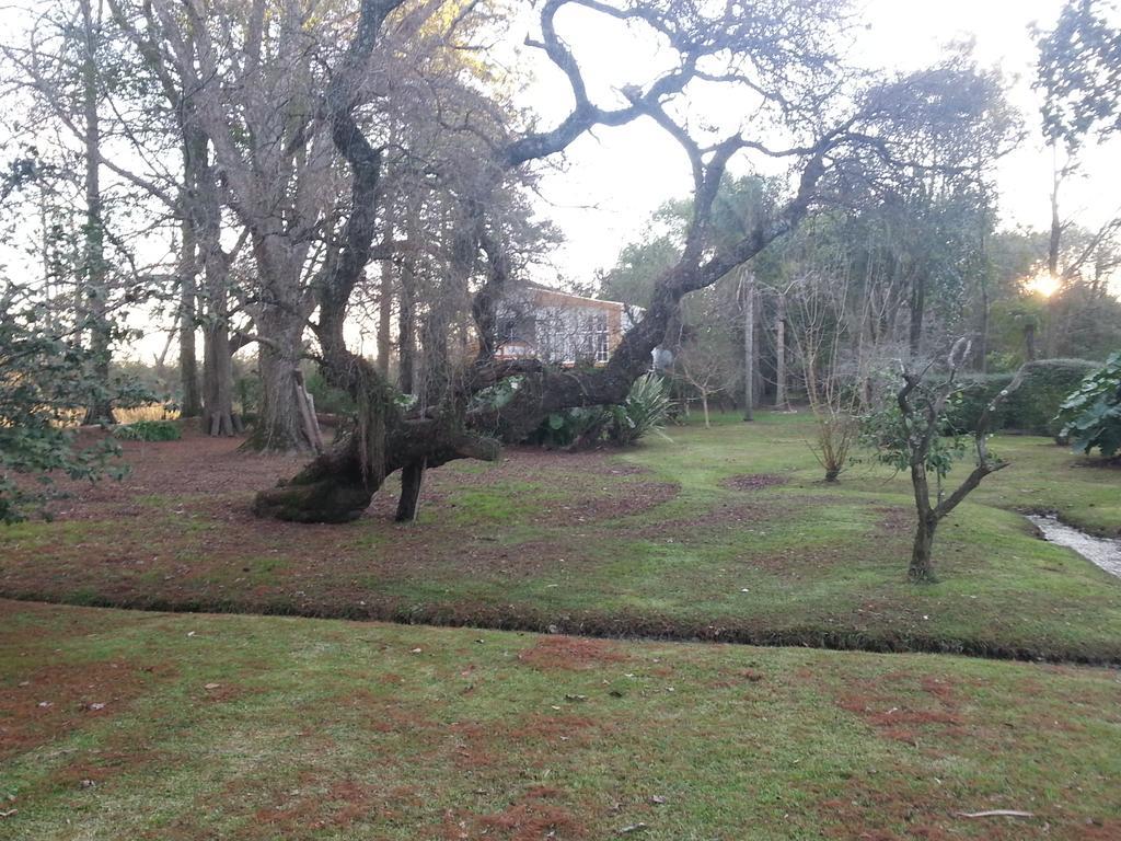 Casa Del Bosque Villa ตีเกร ภายนอก รูปภาพ